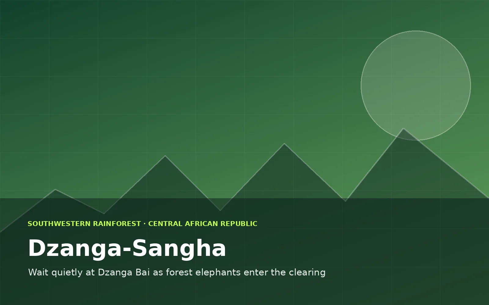 Dzanga-Sangha, Central African Republic