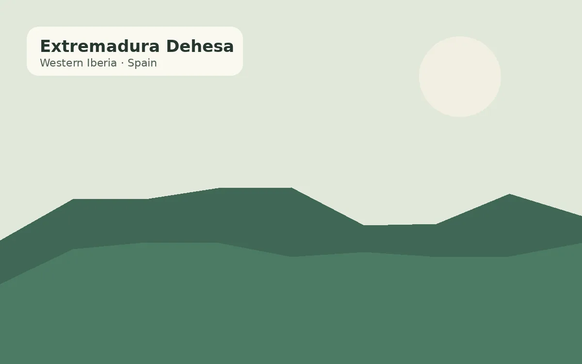 Extremadura Dehesa, Spain