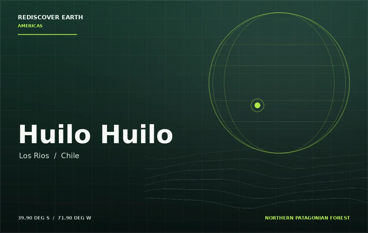 Huilo Huilo, Chile