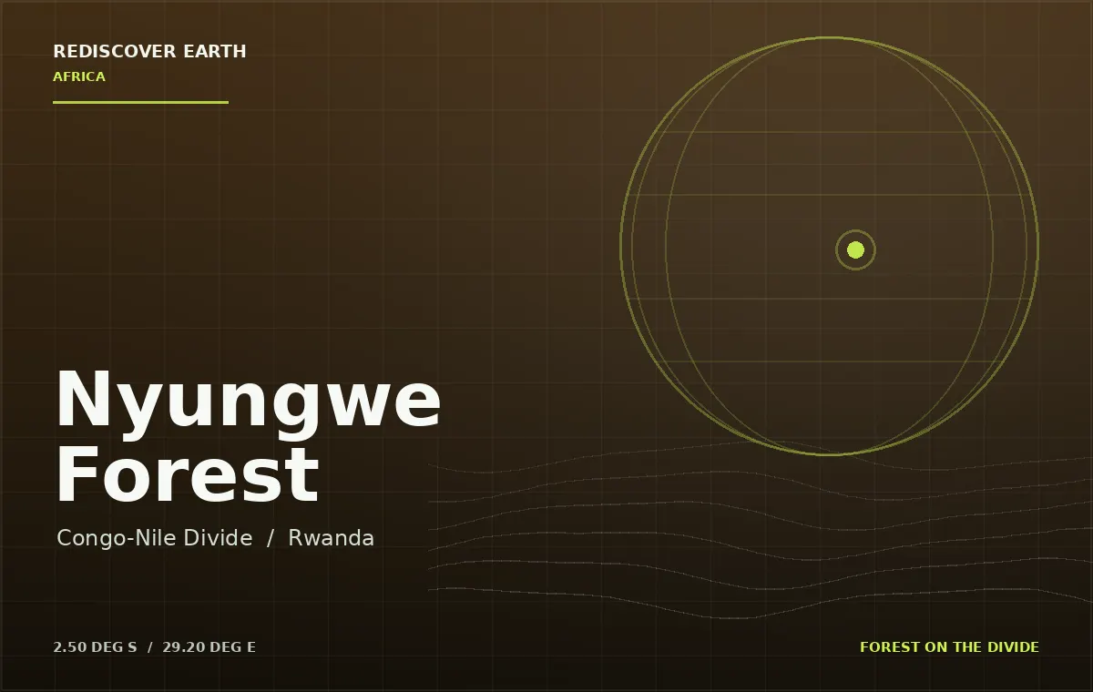 Nyungwe Forest, Rwanda