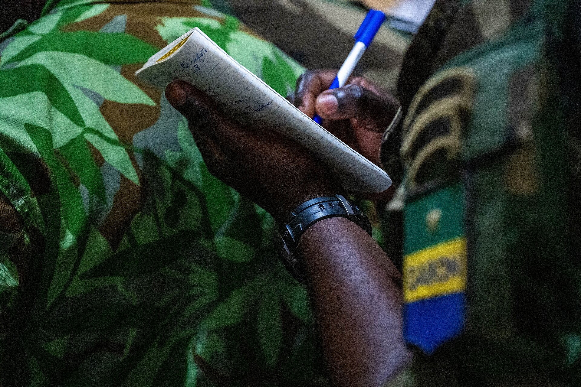 Strengthening Partnerships- U S and Gabonese Agence National des Parcs Nationaux Complete JCET (9351195)
