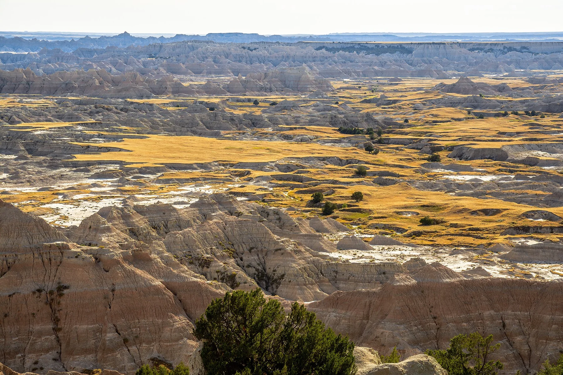 2017 Mountain States - Badlands National Park, SD - 40102794654