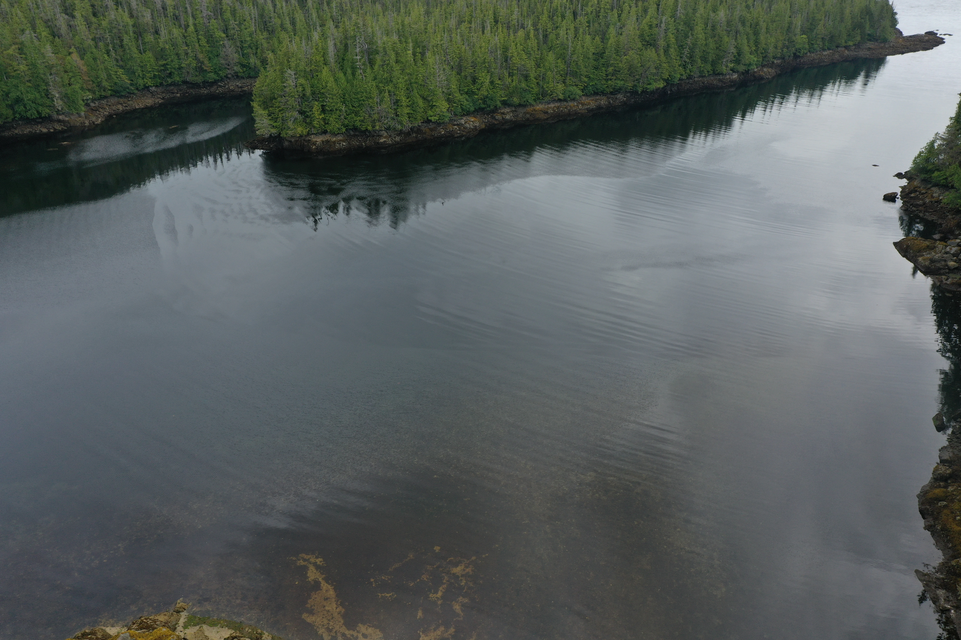 Colby Bay on Banks Island