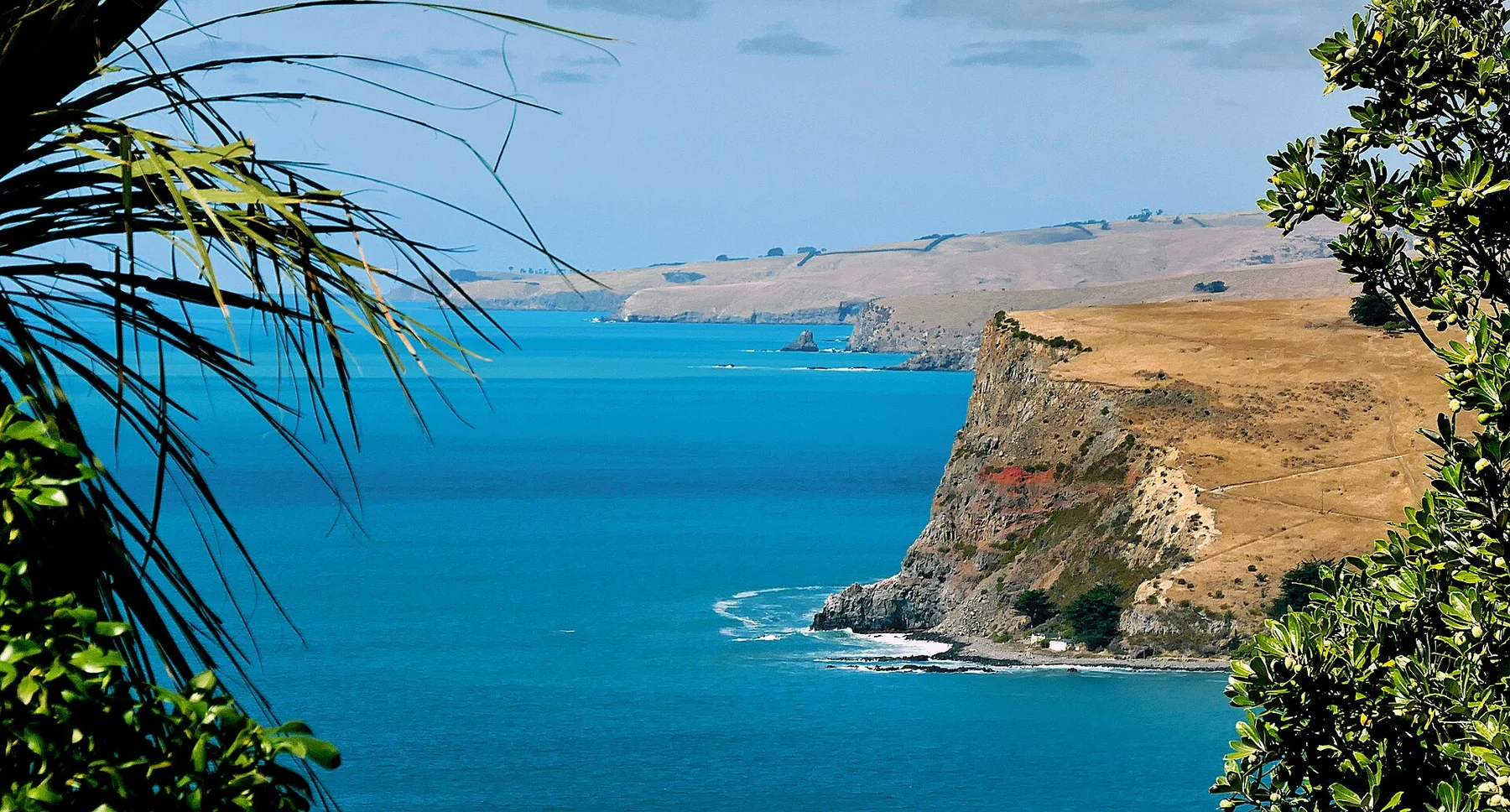 Banks Peninsula. NZ. (49675294252)