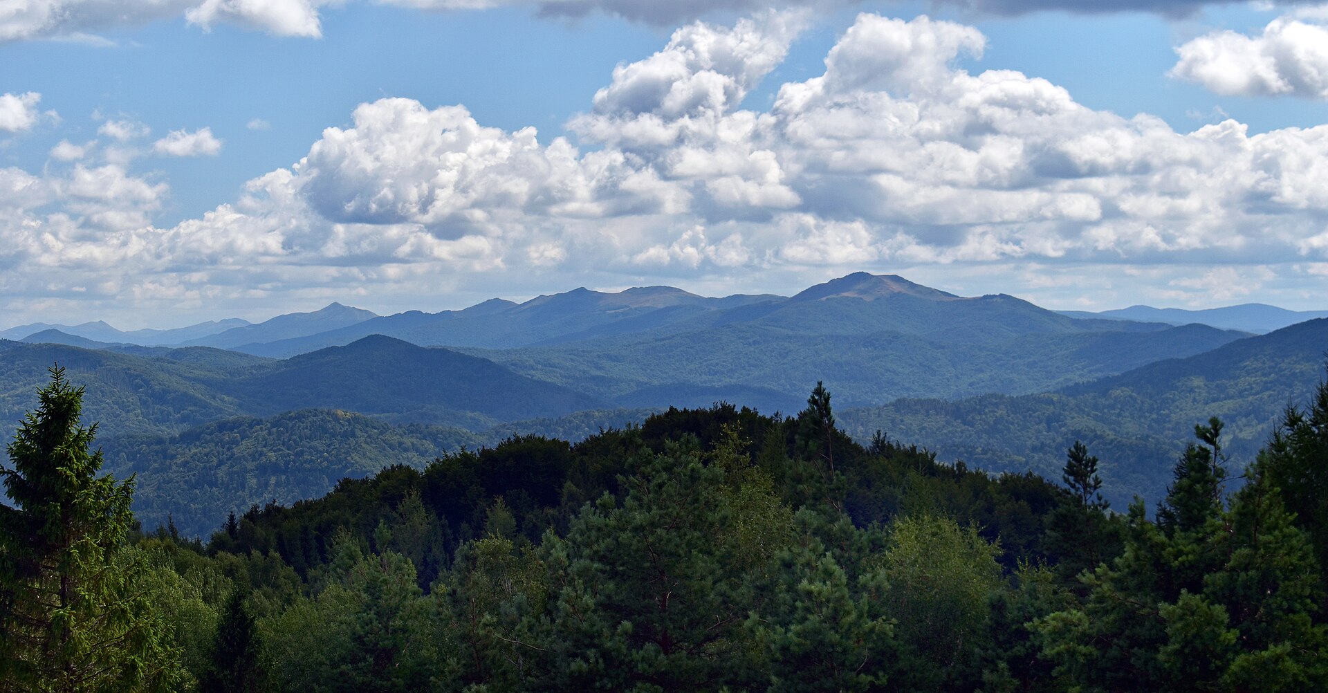Bieszczady Mountains (West part), Outer Eastern Carpathians Mountains, Subcarpathian Voivodeship, Poland