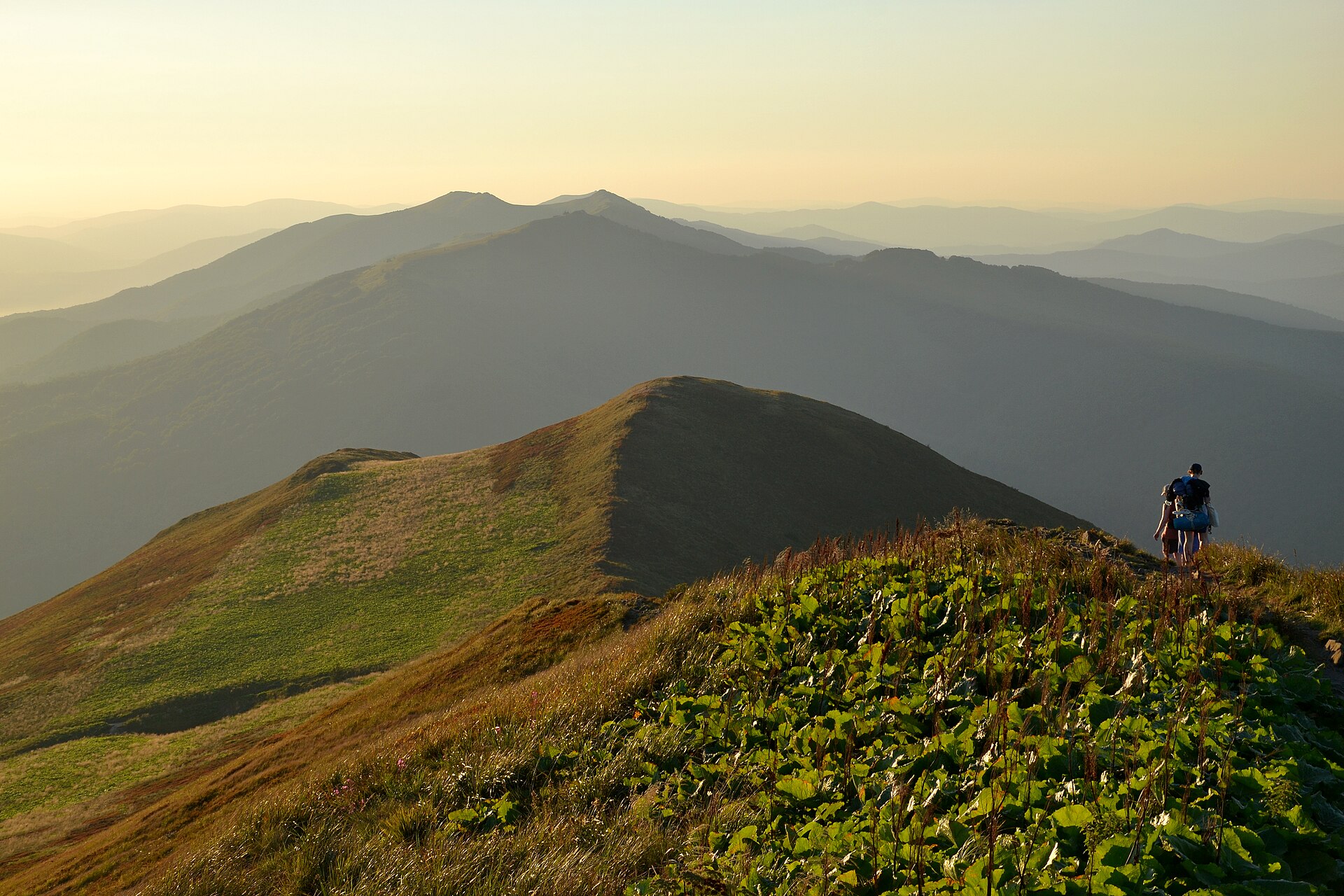 Bieszczady, Połonina Caryńska in the evening 02