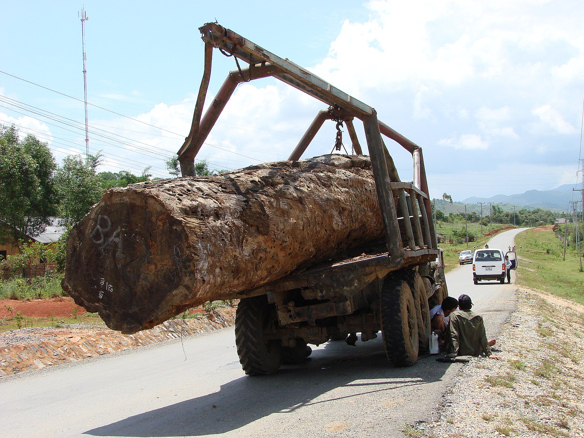 Laos - Bolaven Plateau - Logging