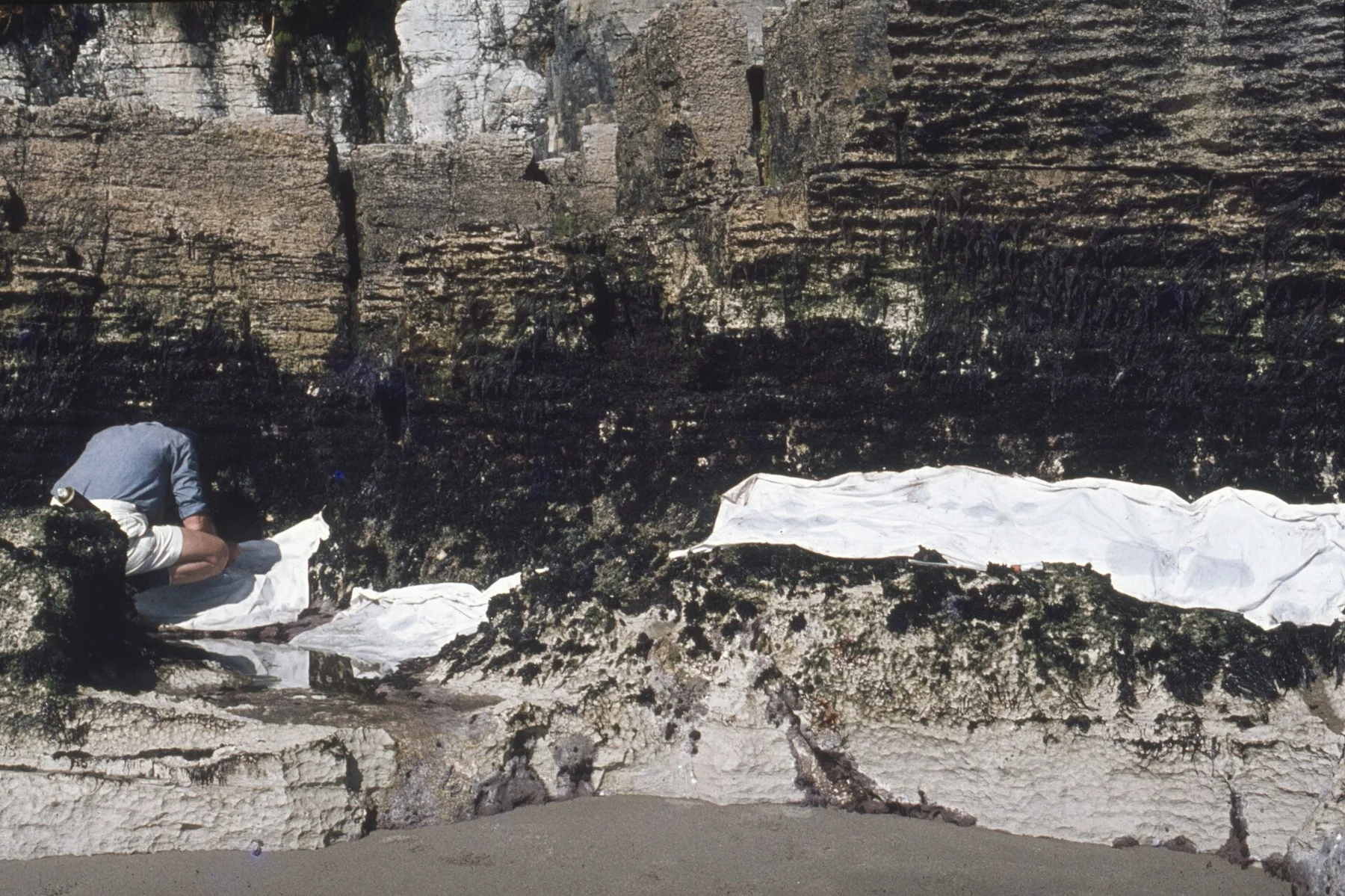 Campbell Island - view 11