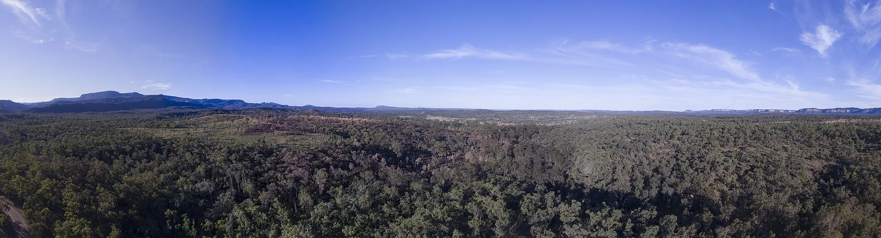 Carnarvon Gorge — view 5