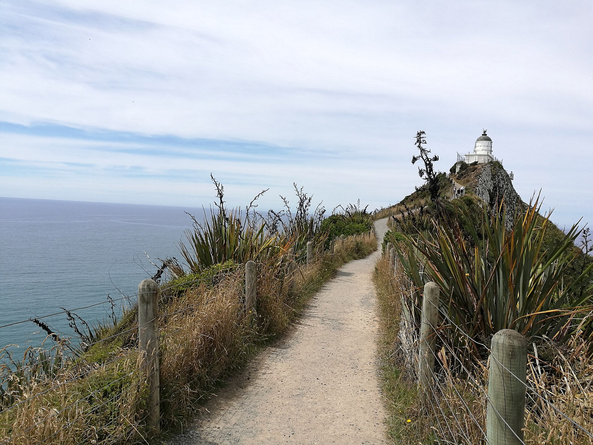 2019-01-16 133217 Nugget Point anagoria