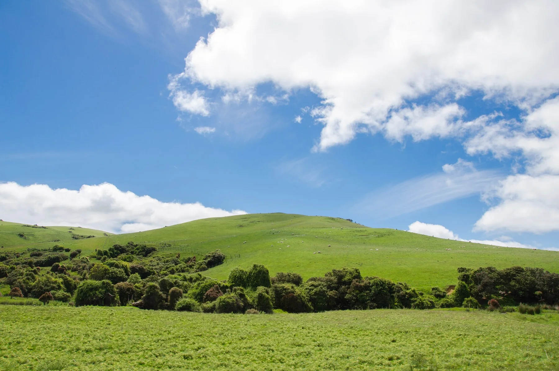 The Catlins - view 12