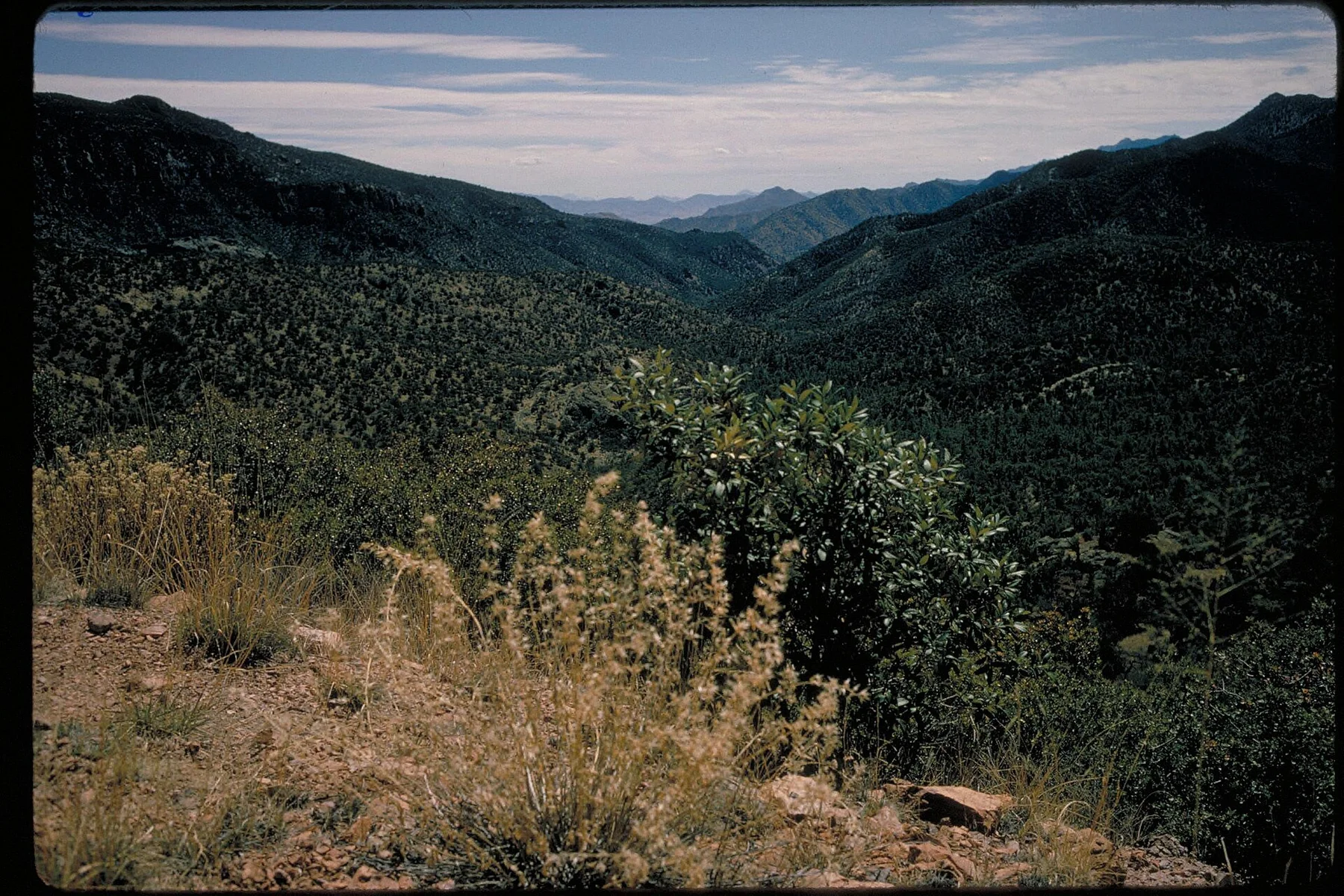 Chiricahua National Monument, Arizona (d1866575-02f8-4a92-88dc-440769699f6e)