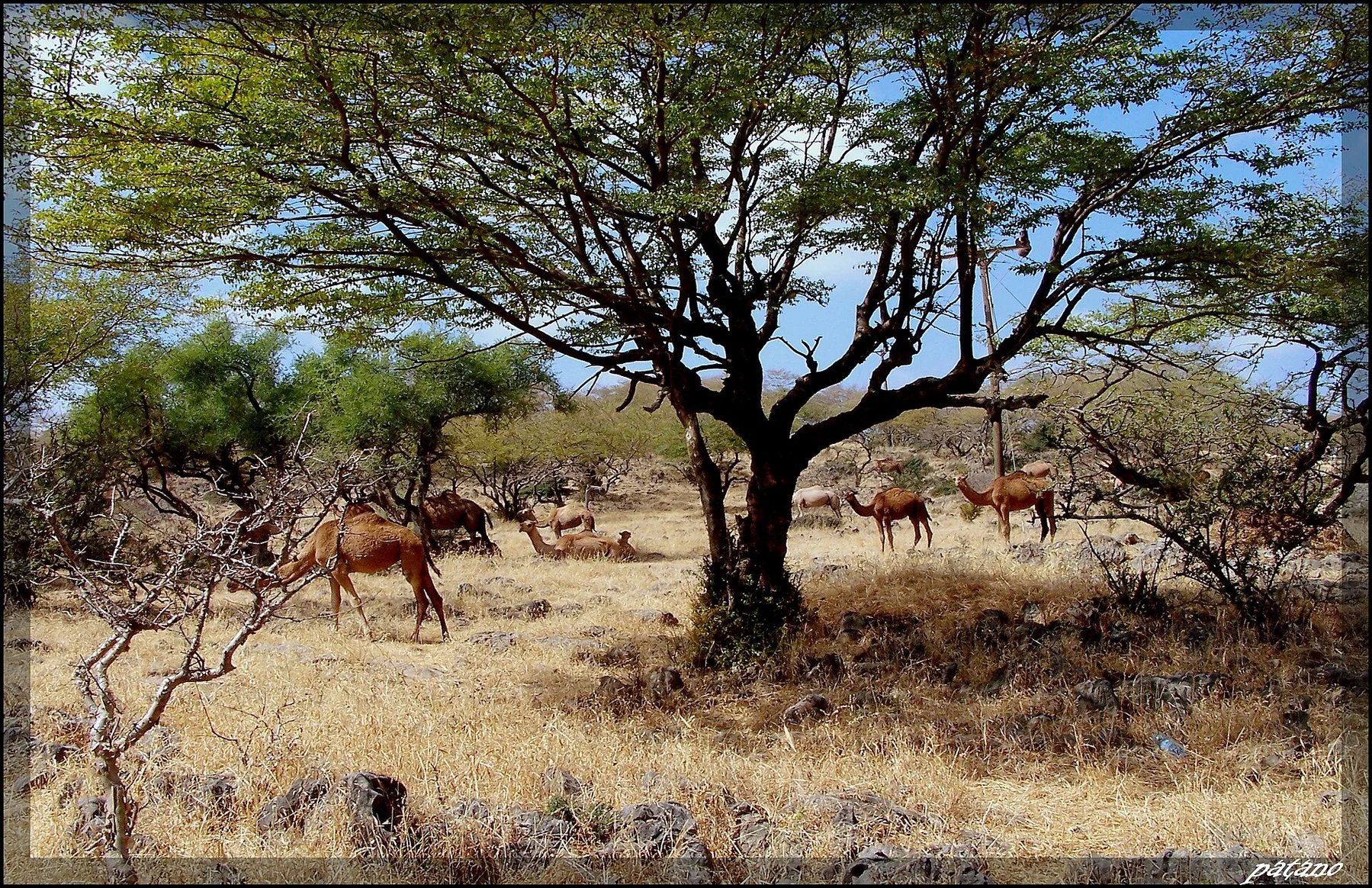 Tinuturile inalte Dhofar — view 5