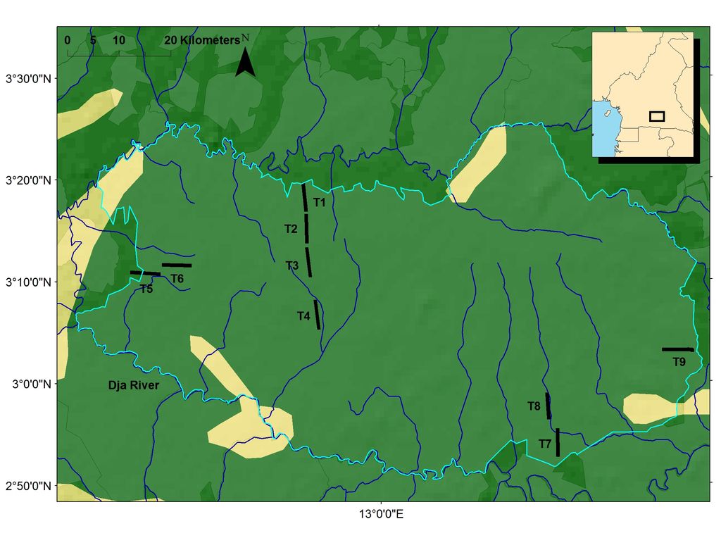 The Dja Faunal Reserve, South Cameroon, with the location of 9 transects