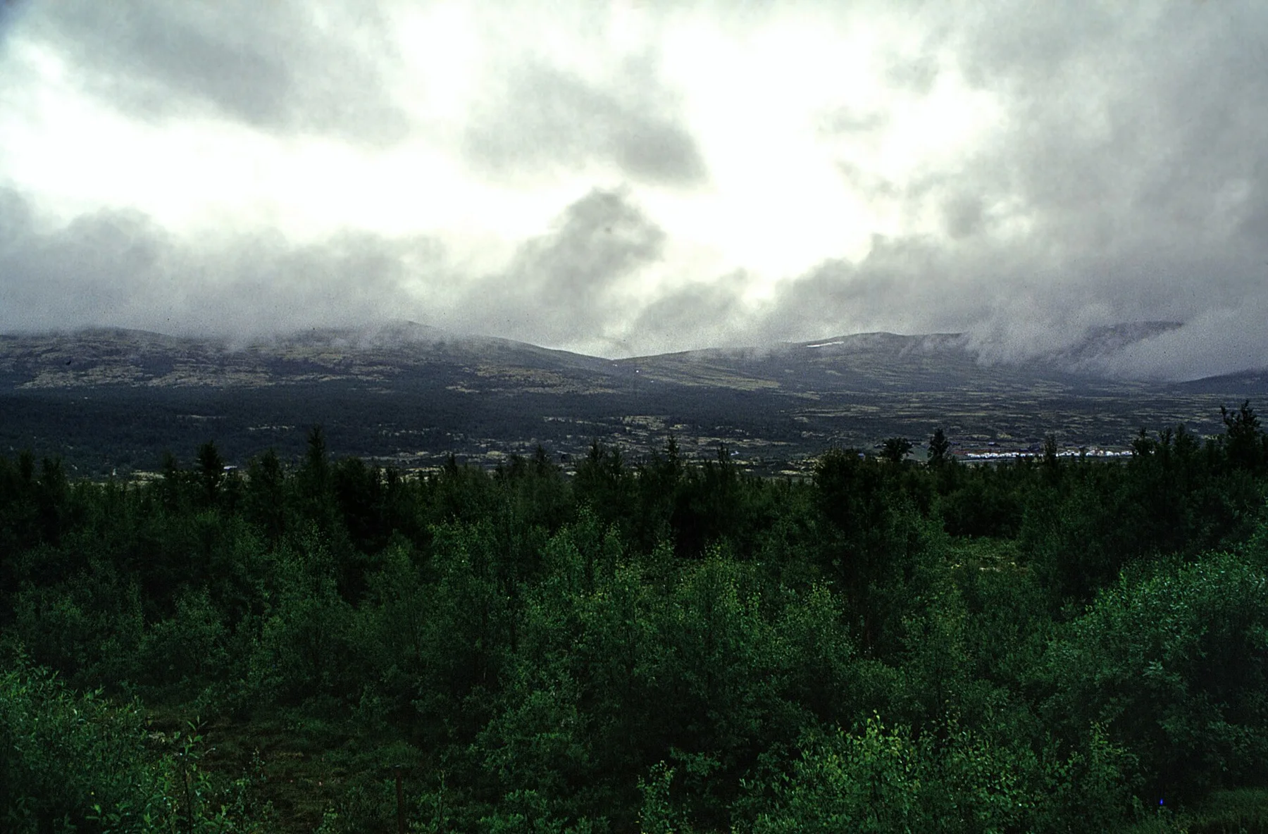 Dovrefjell - vedere 12