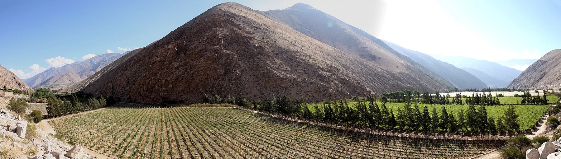 Elqui Valley - view 11