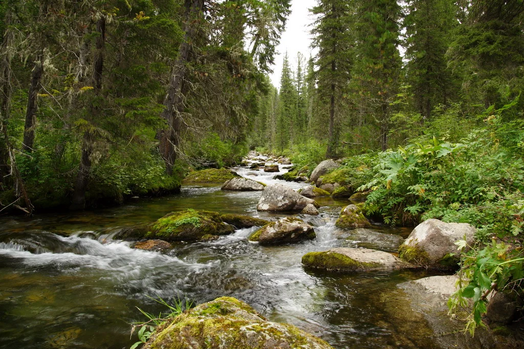 Саяны, хребет Ергаки, Ручей Тушканчик. - panoramio