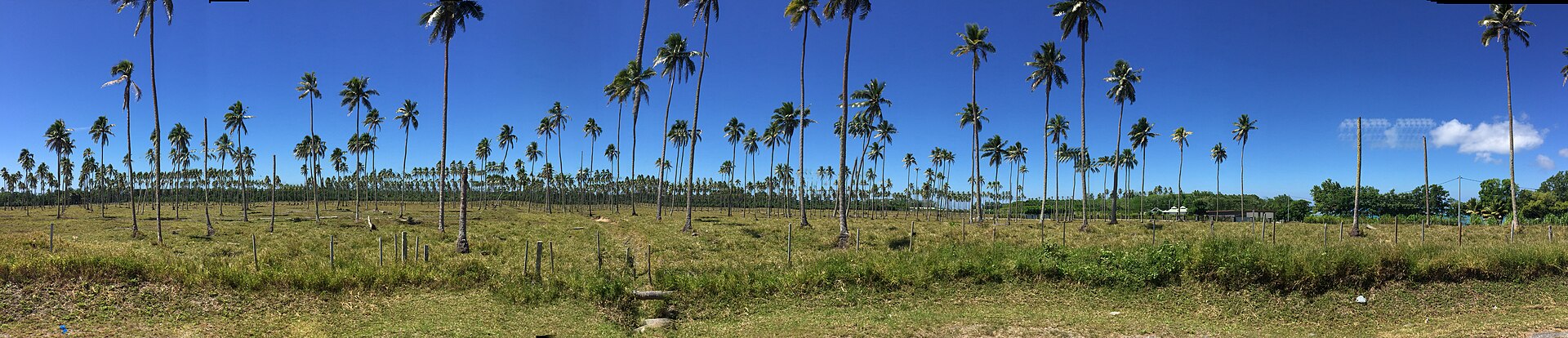 Espiritu Santo Island, Vanuatu