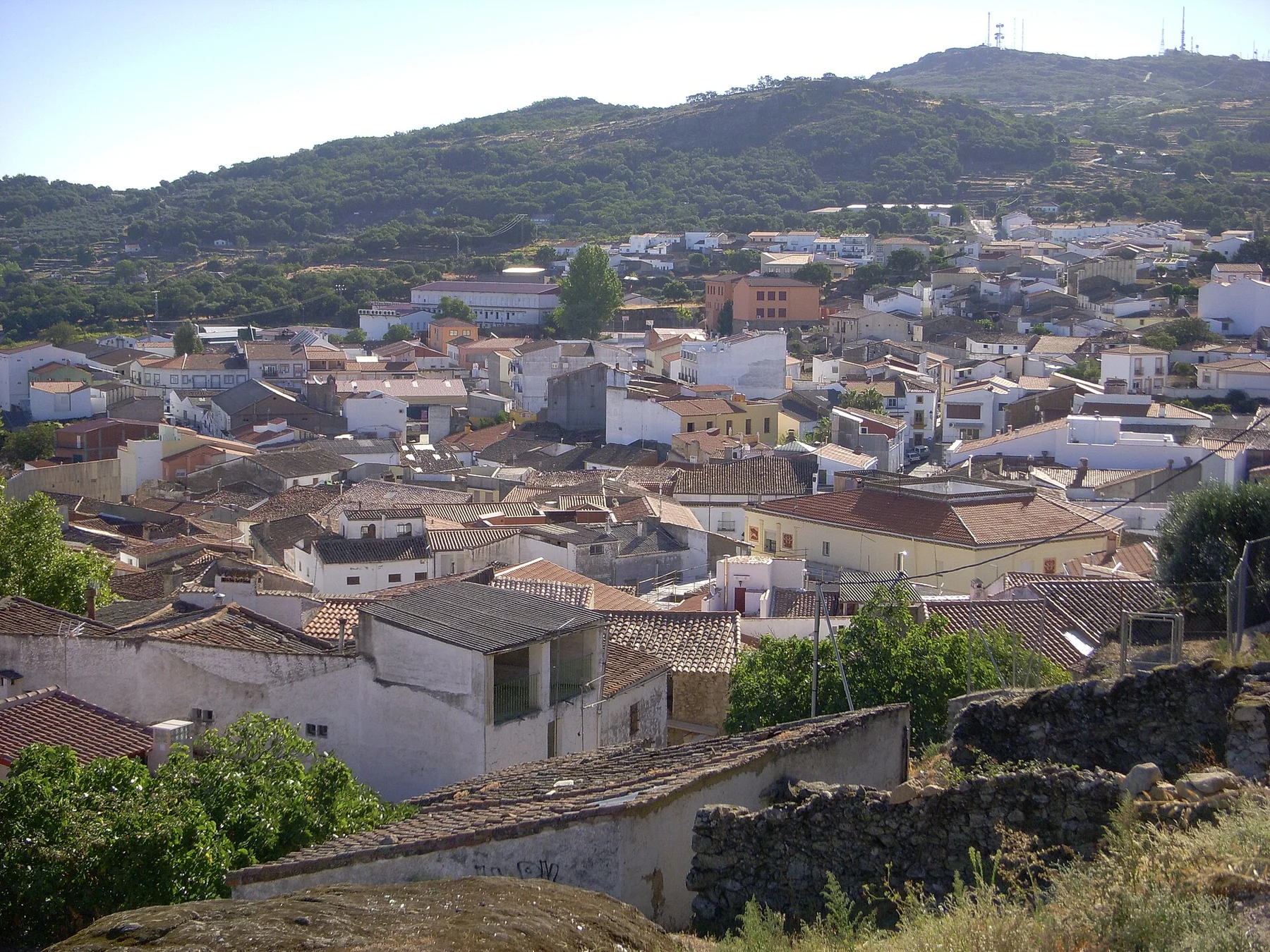 Extremadura Dehesa — view 2