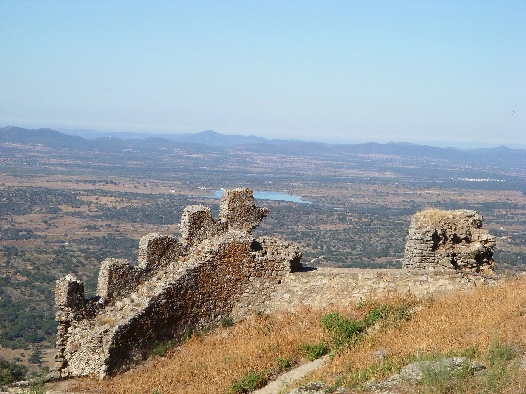 Extremadura Dehesa — view 4