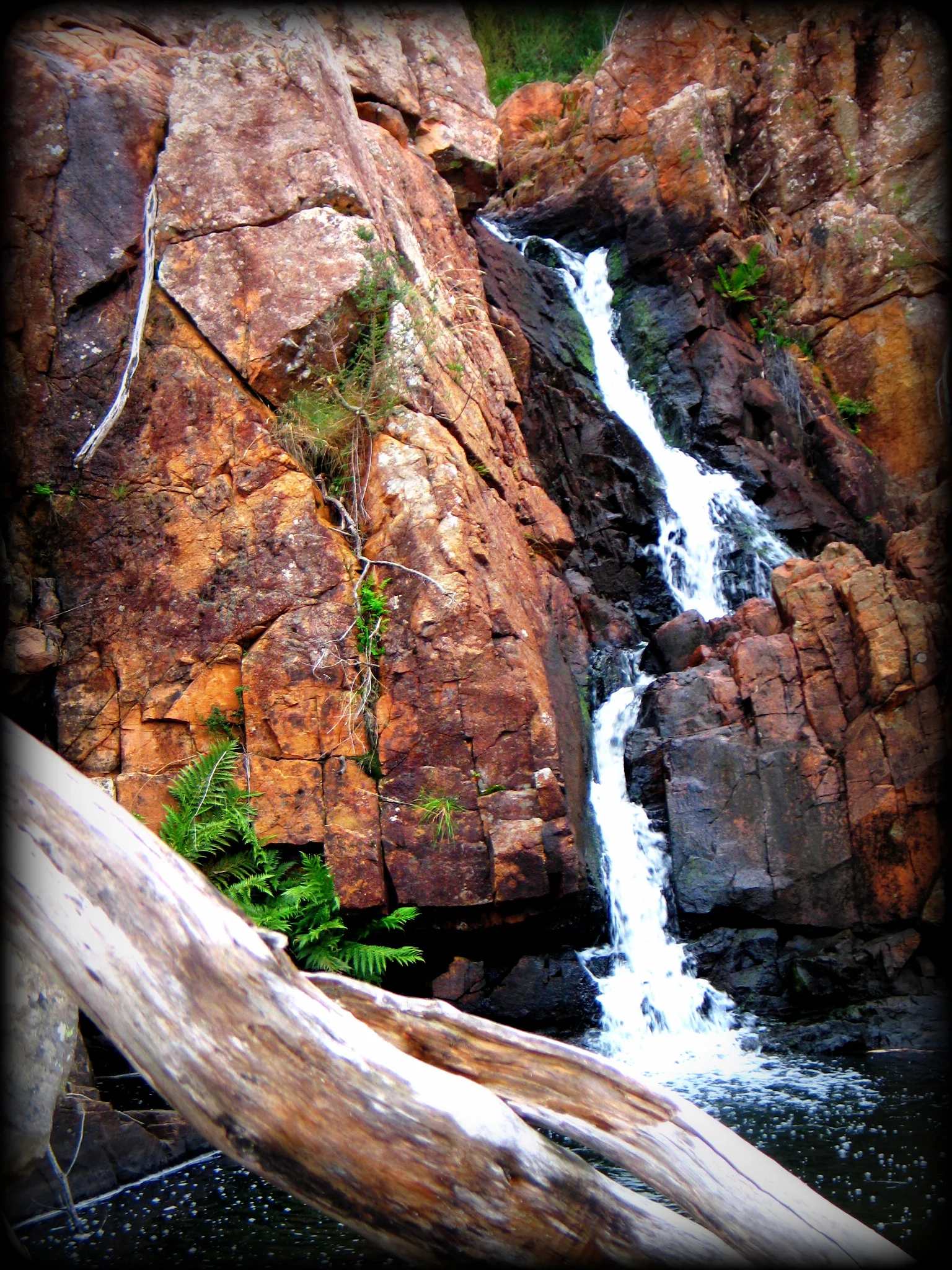 Gariwerd / Grampians - view 12