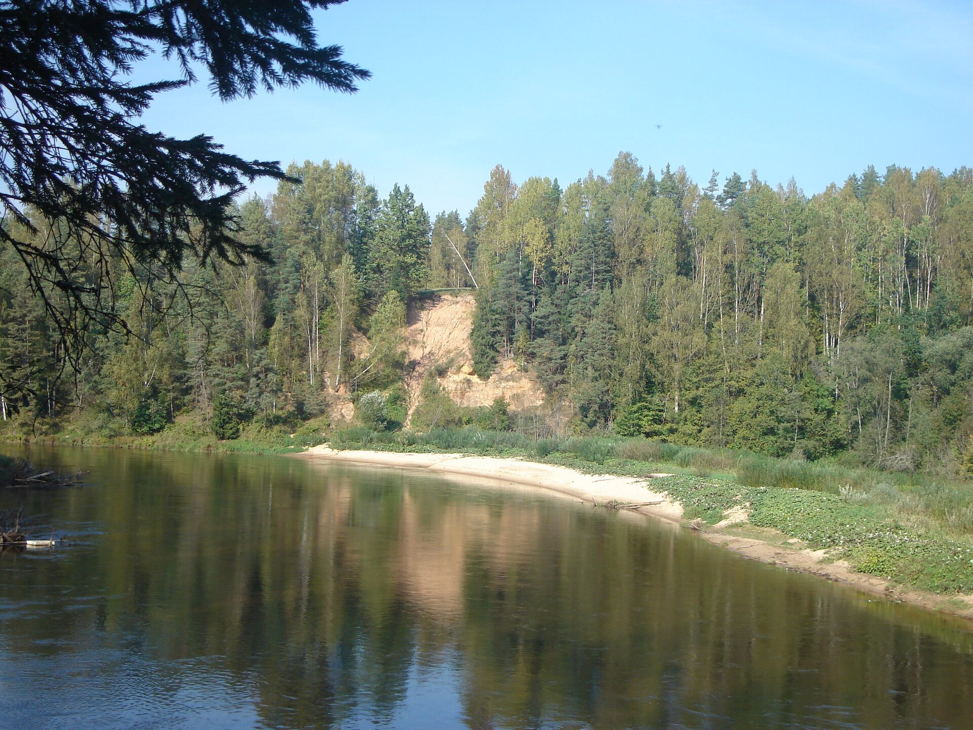 Gauja - mikroskops - Panoramio (1)