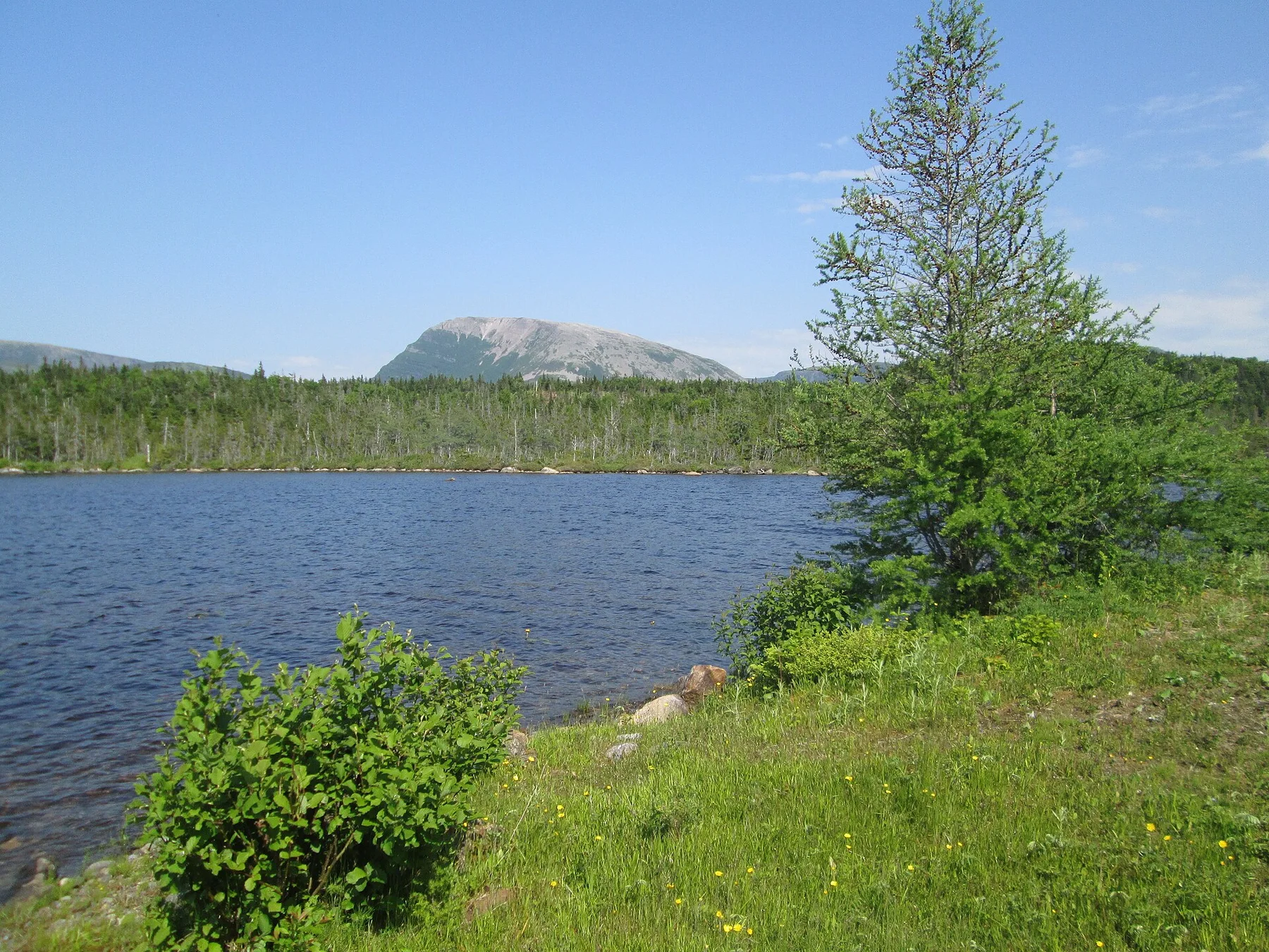 Gros Morne - view 11