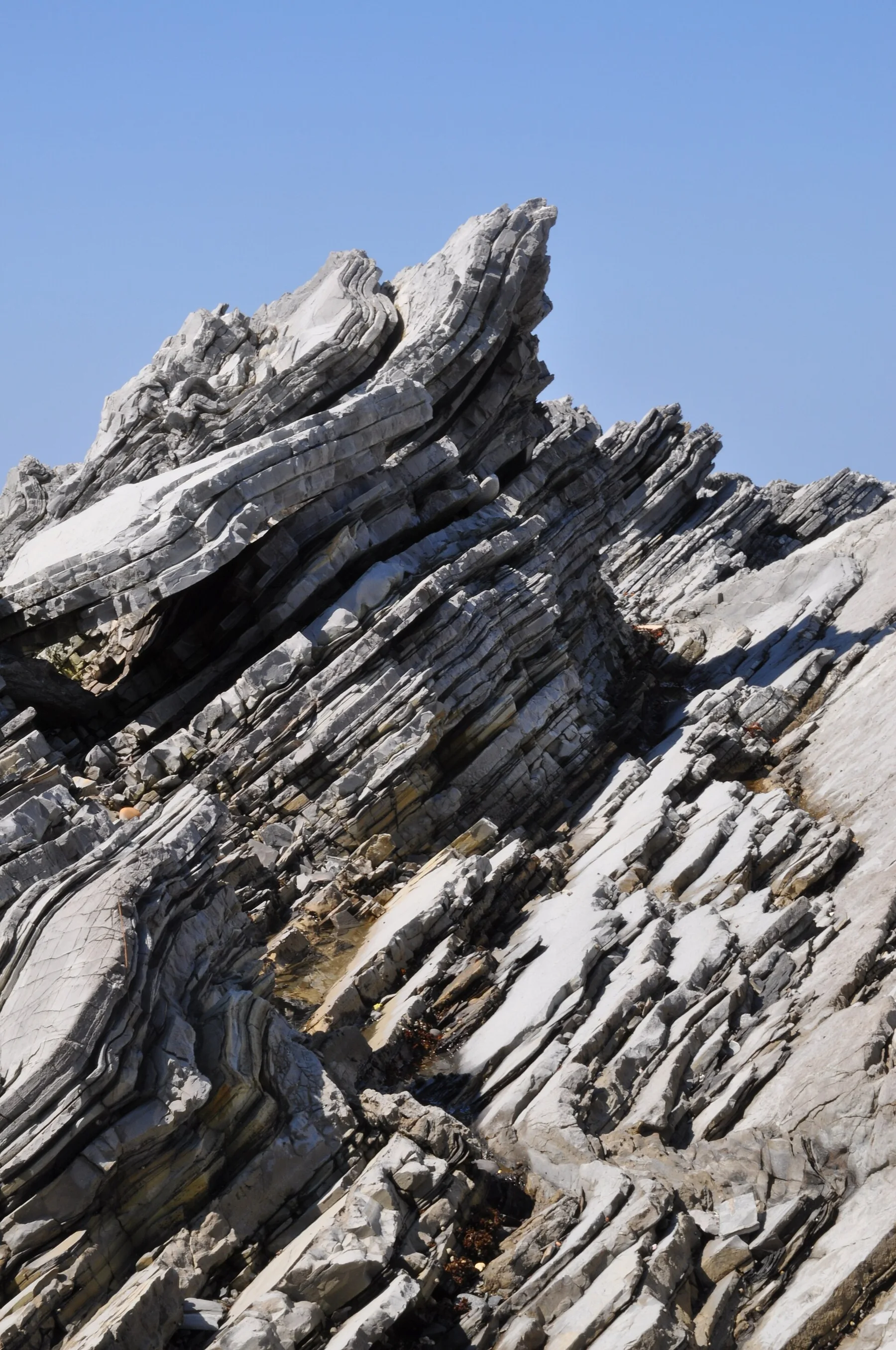 Gros Morne - view 12
