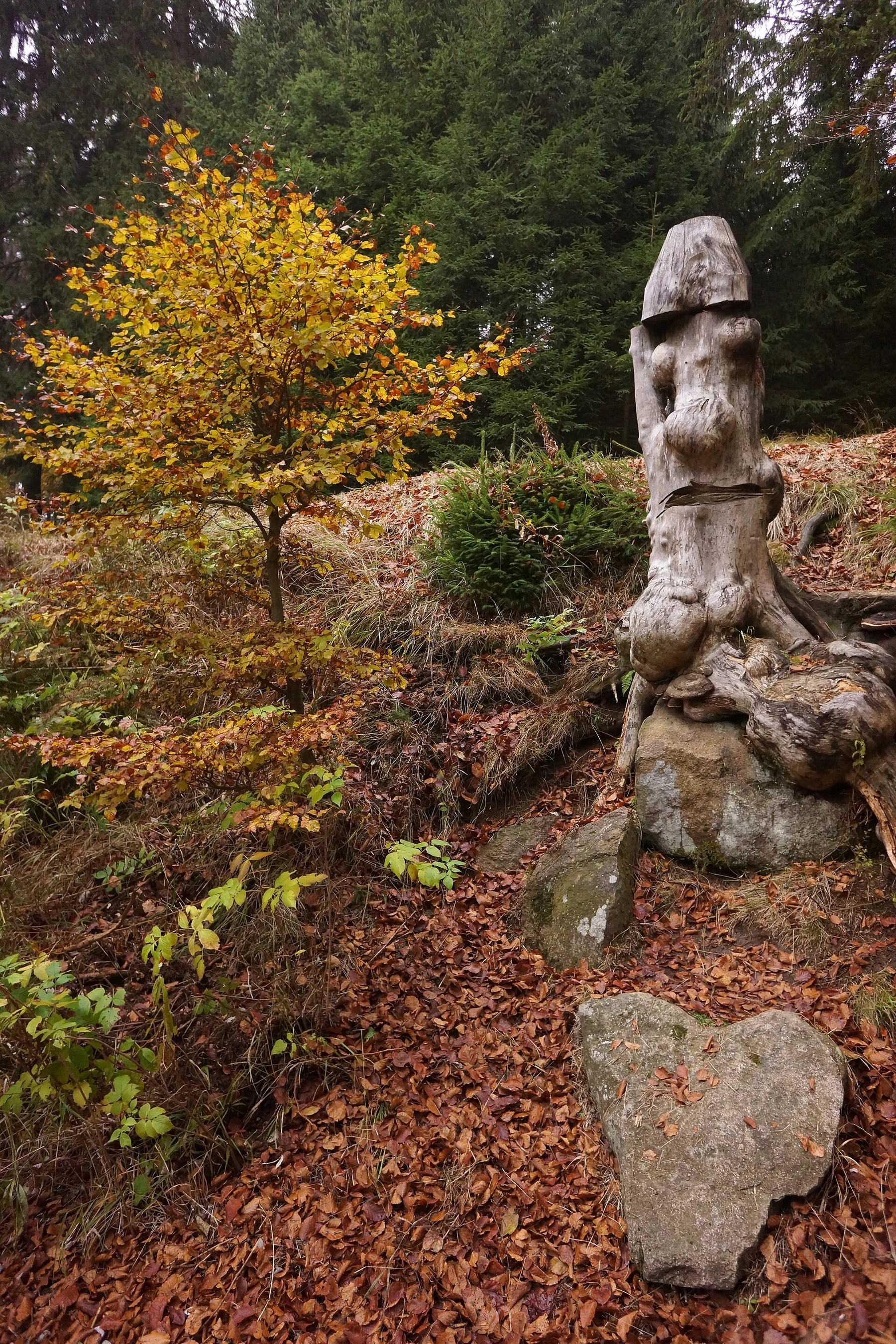 Harz Mountains - view 8
