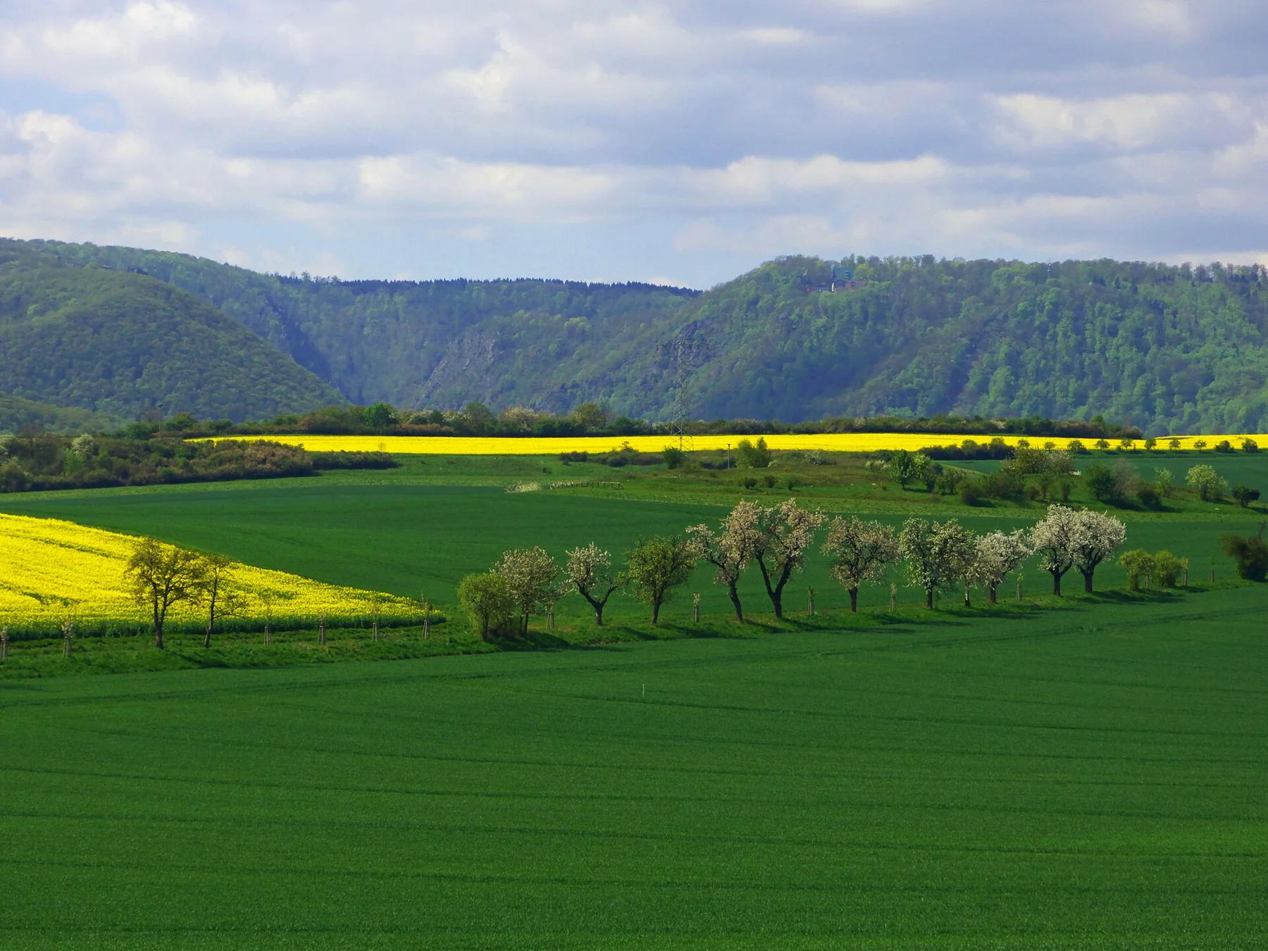 Harz Mountains - view 14