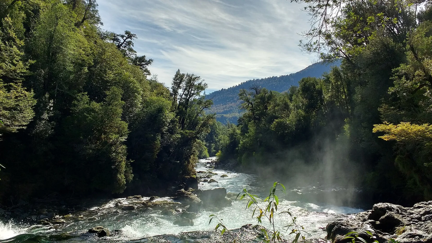 Arriba del Salto de la Leona, Huilo Huilo