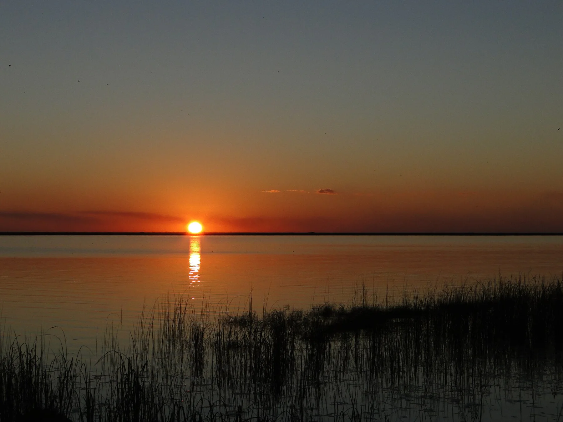 Ibera Wetlands - view 9