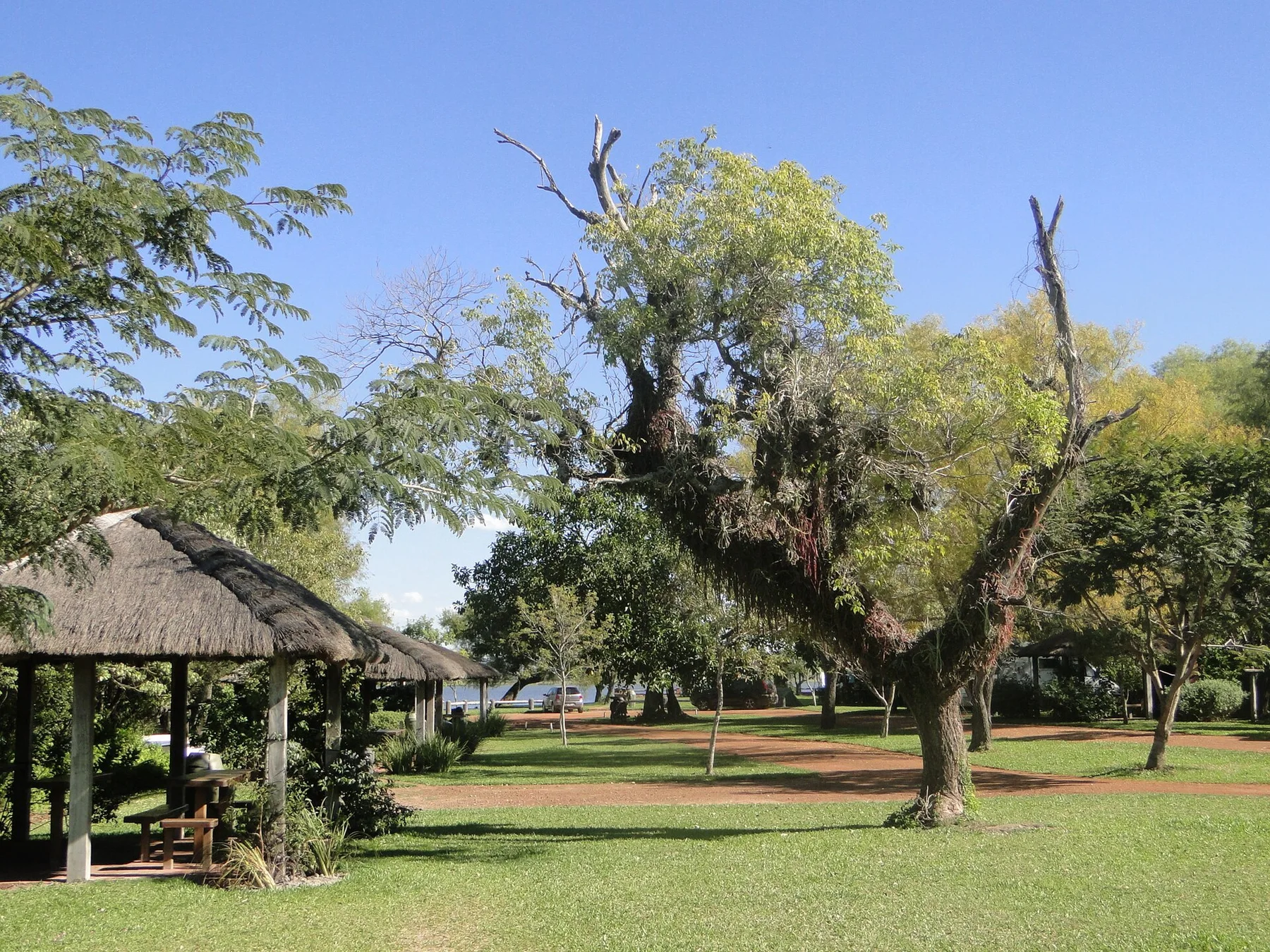 Ibera Wetlands - view 10