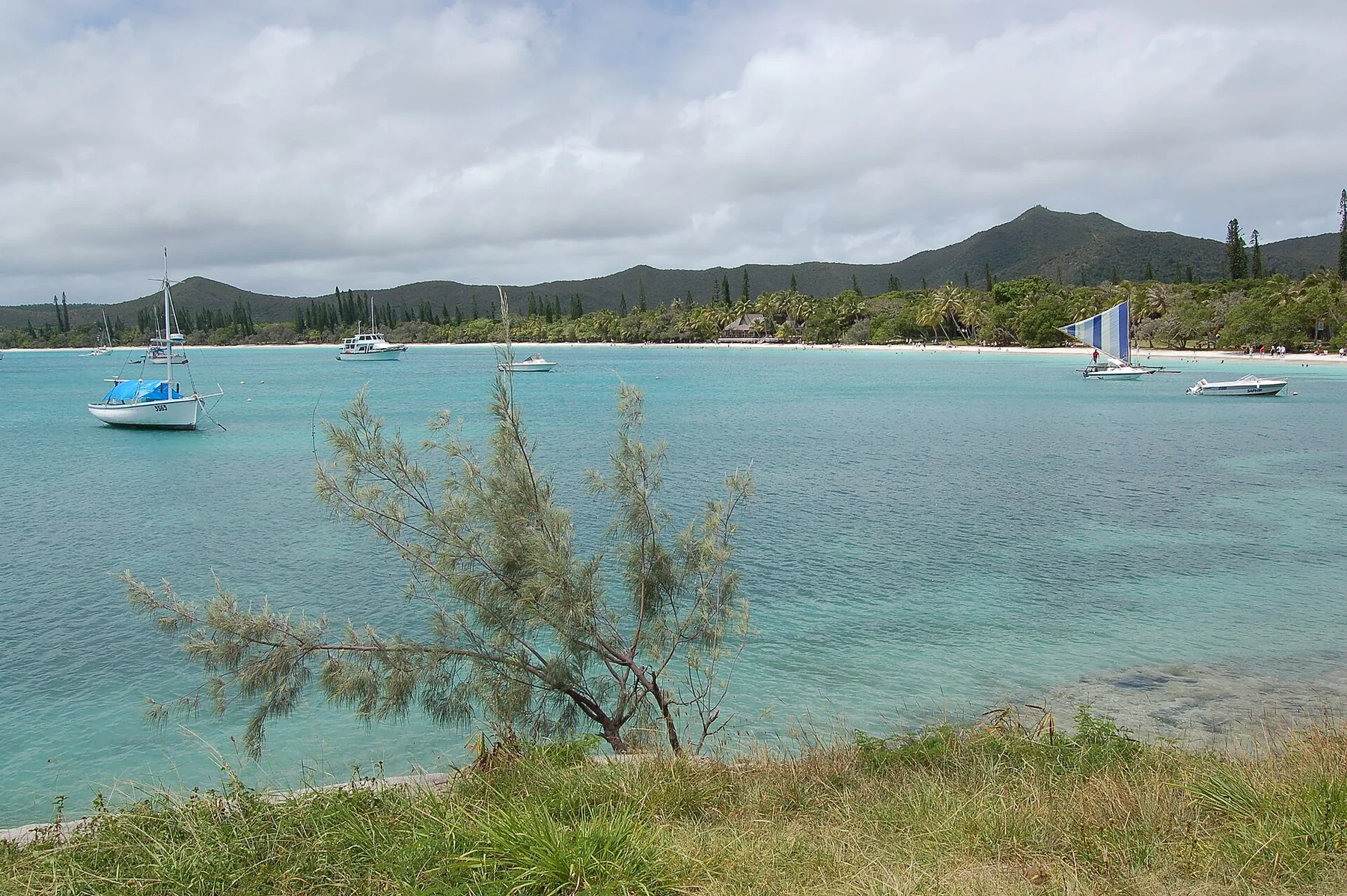 Kuto Bay, Insula Pinilor, New Caledonia, 2007 (1)