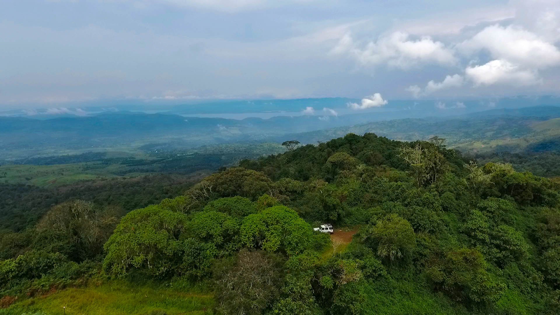 Kahuzi-Biega National Park (39423247372)