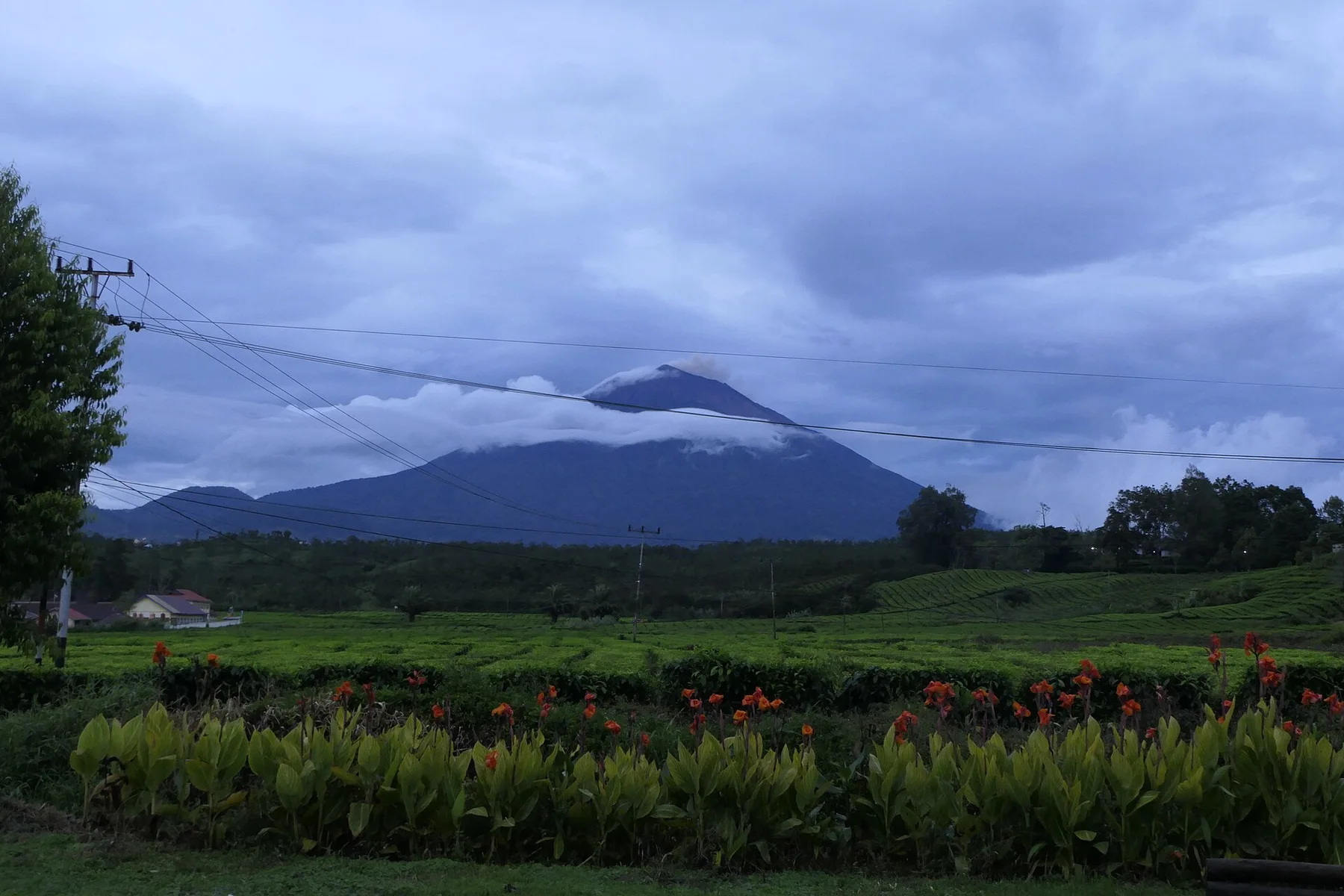 Gunung Kerinci dari Kayu Aro 03
