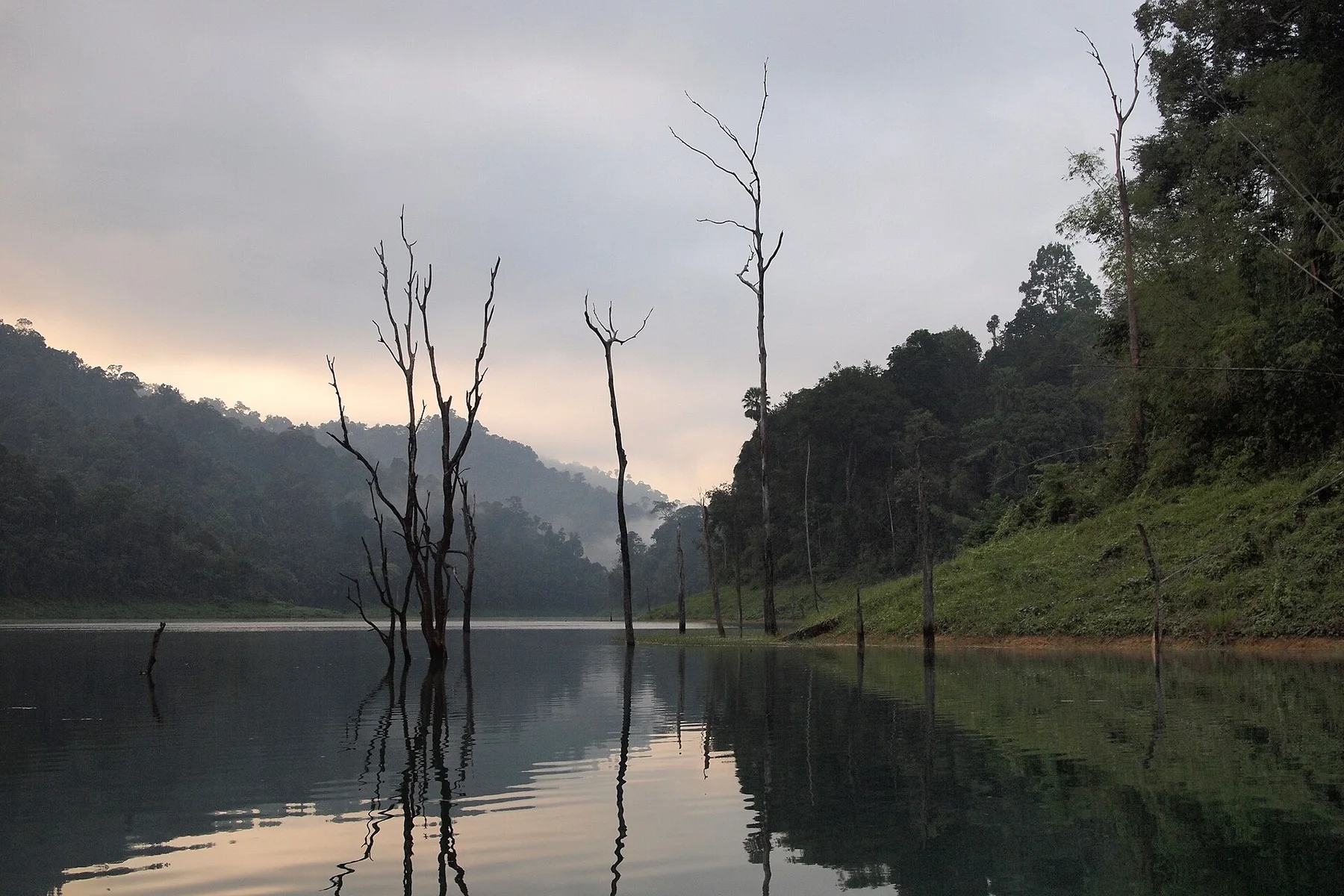 Early dawn on Cheow Lan Lake, Surat Thani, Thailand