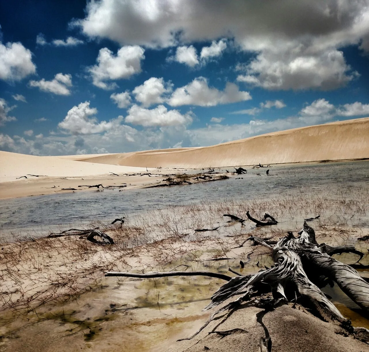 Lencois Maranhenses - view 11