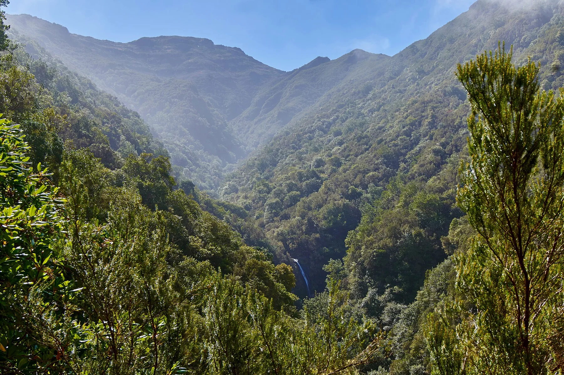 Levada do Caldeirão Verde, Madeira (09611)