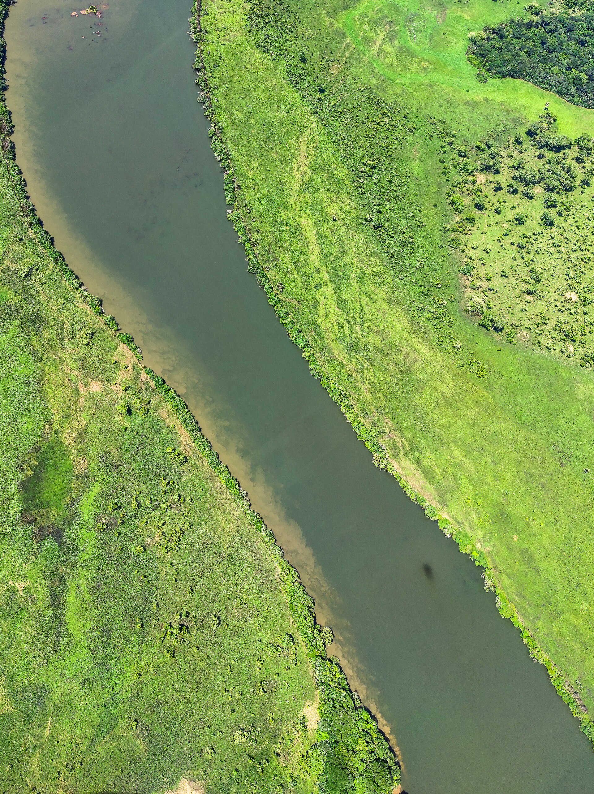 Vue aerienne du Tracé du Djerem ou haute Sanaga - Parc national du Mbam et Djerem