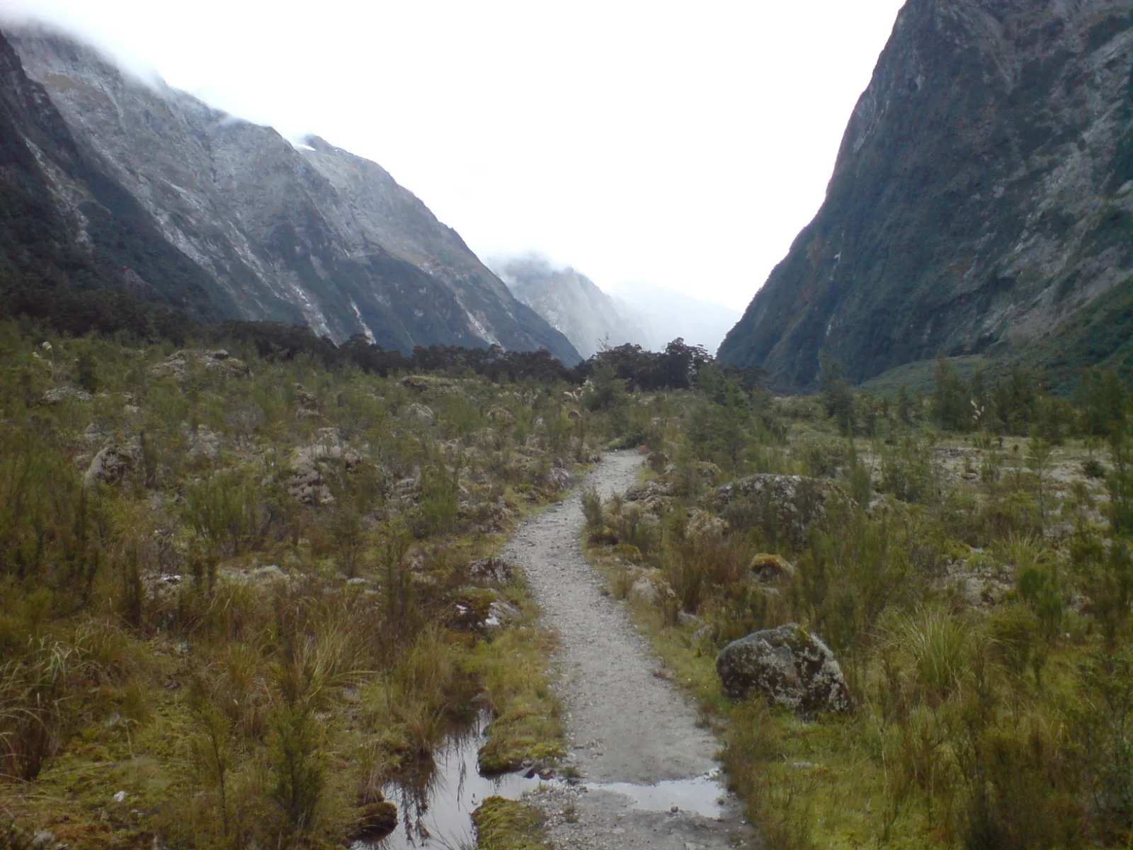 Slow Travelling Towards Milford Sound
