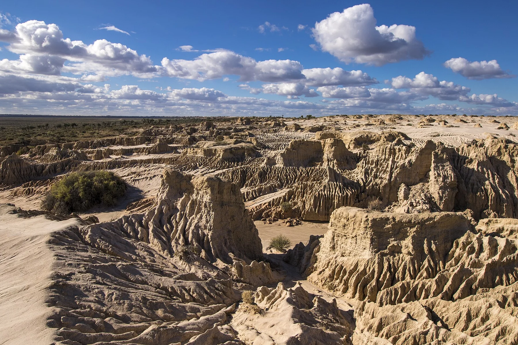 Mungo - view 8