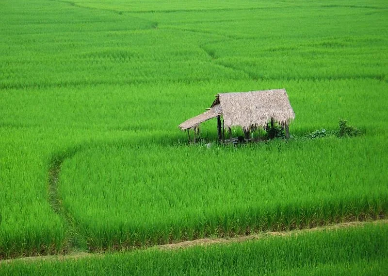 Nan Province