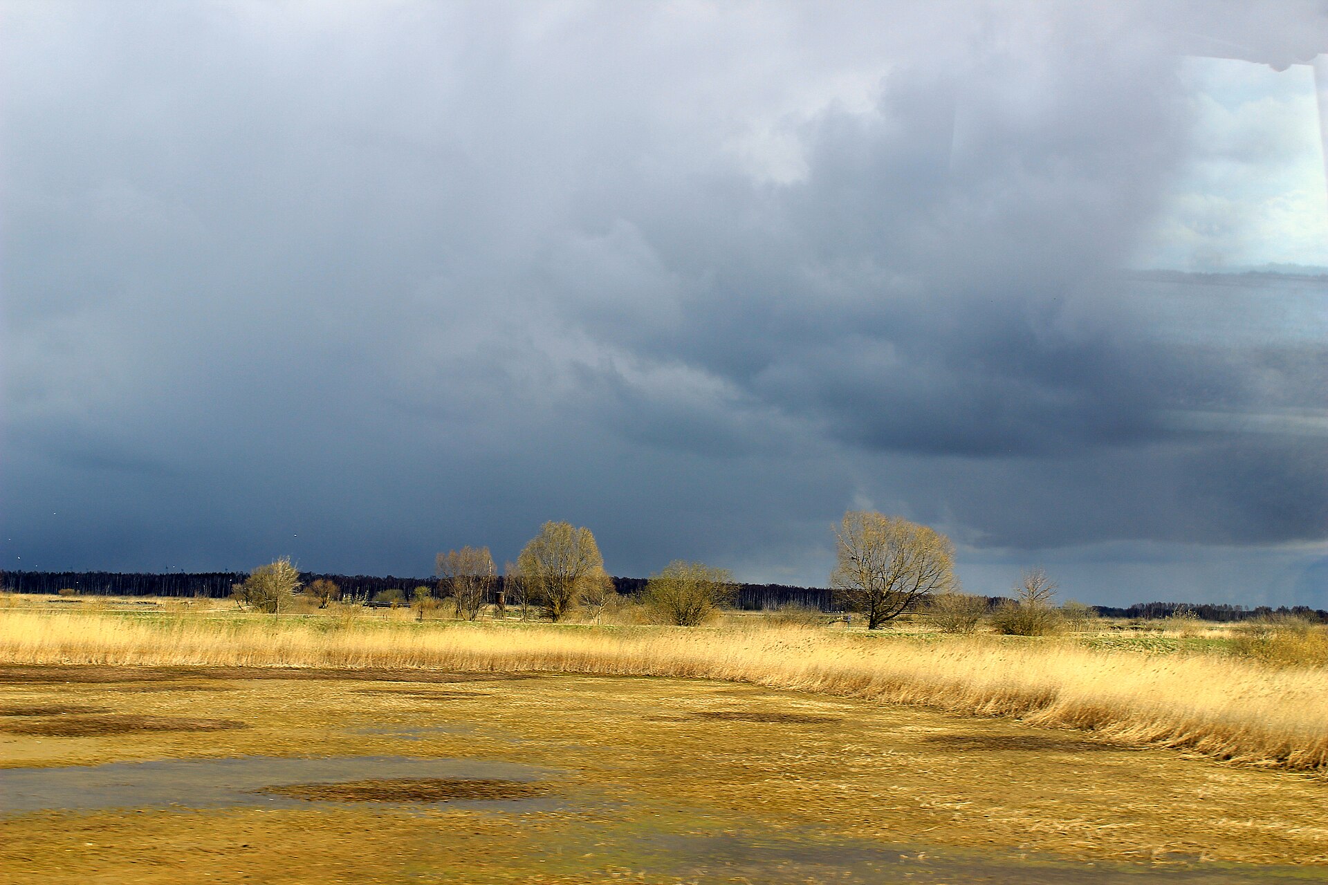 Nemunas delta - panoramio