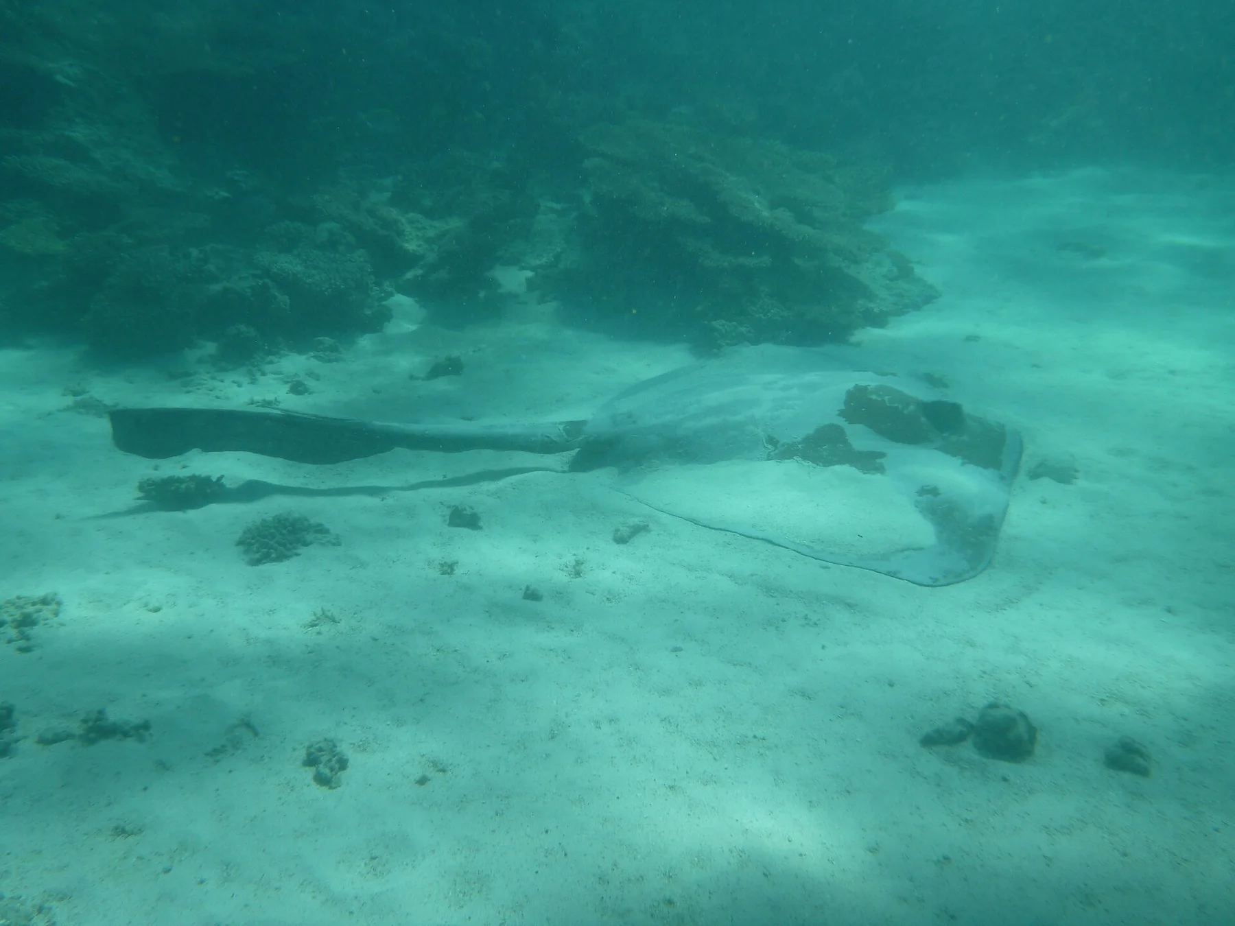 Ningaloo Coast — view 4