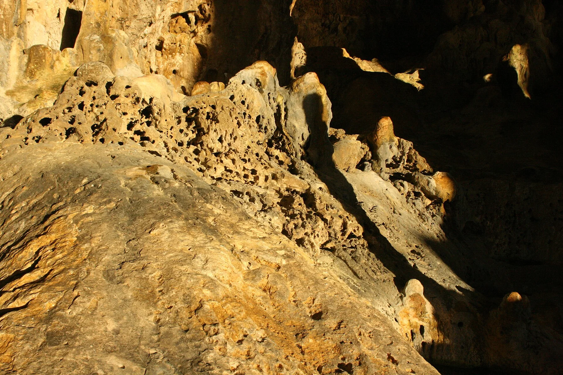 Coral in a cave at Niue (2761698087)