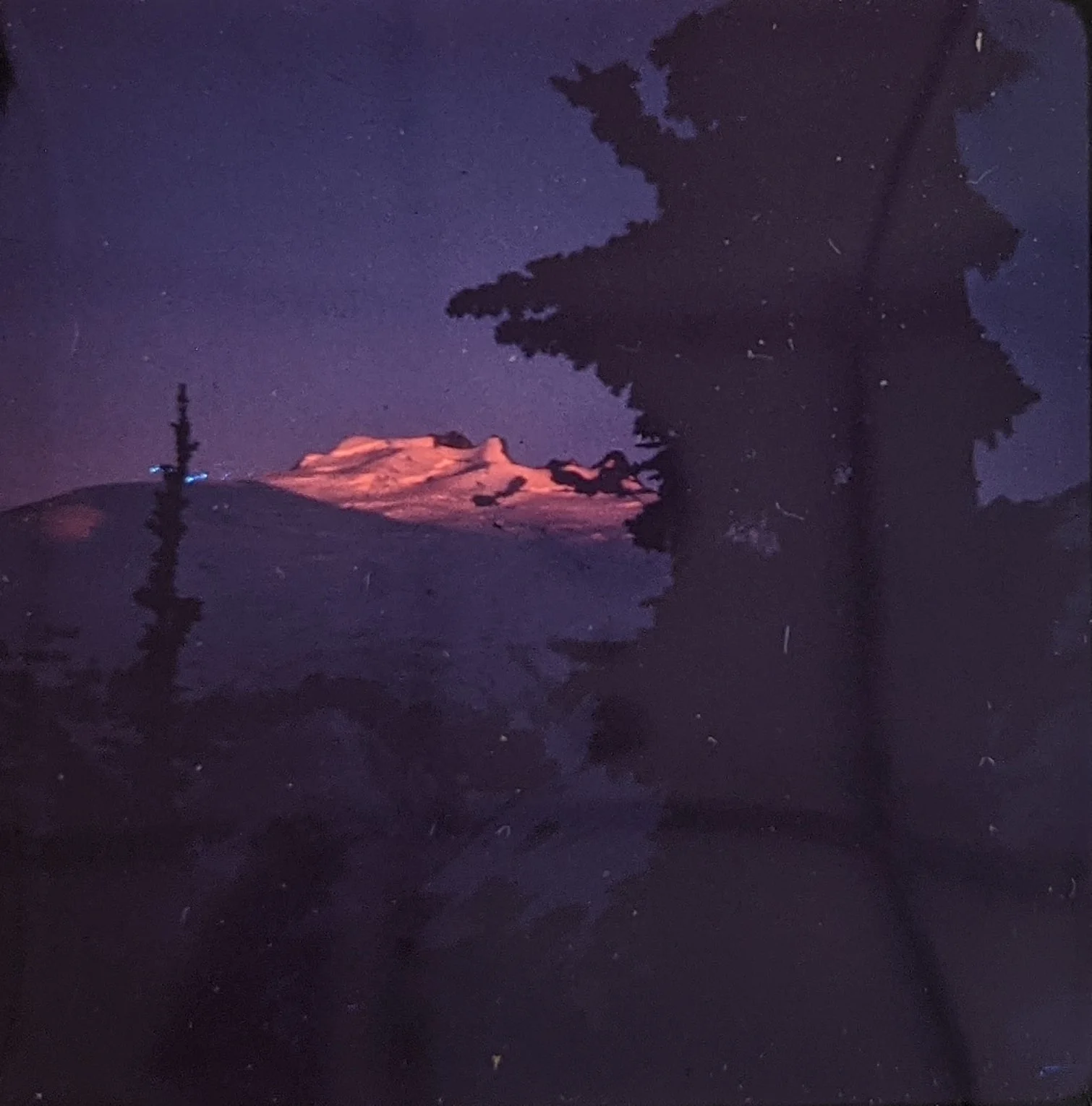 Challenger Glacier at either sunrise, or sunset. (50933792561)