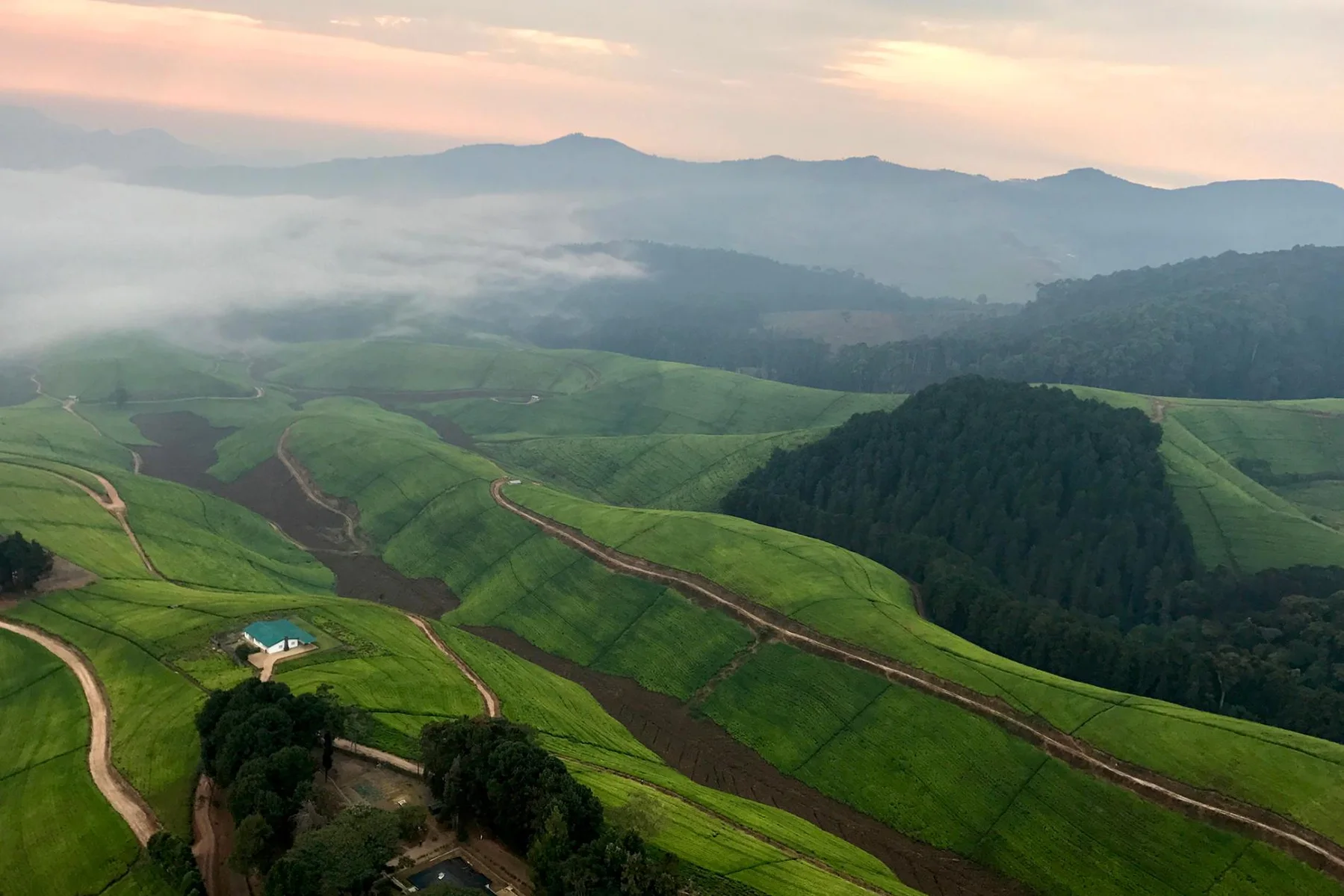 Nyungwe Forest