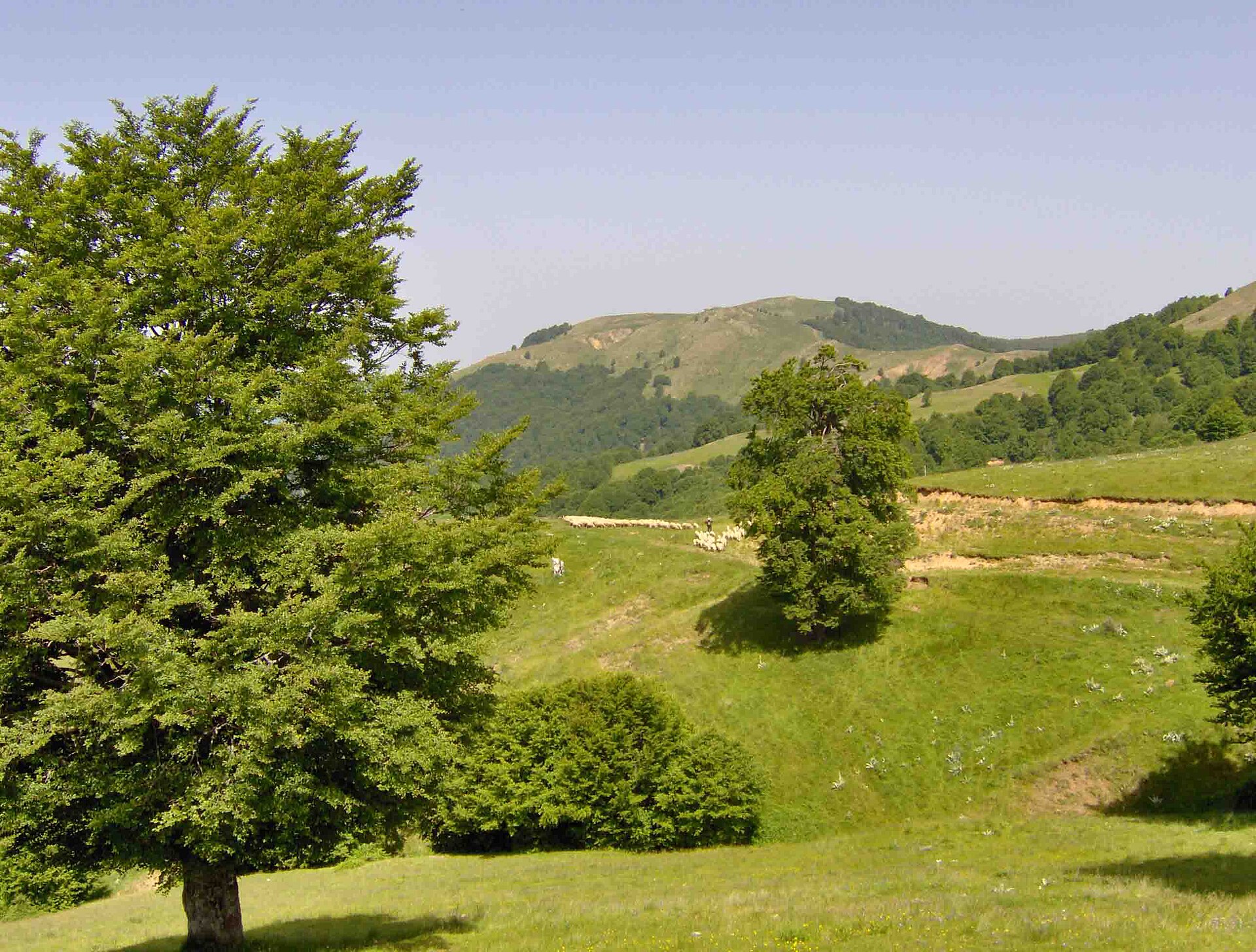 Ponikva Osogovo Macedonia