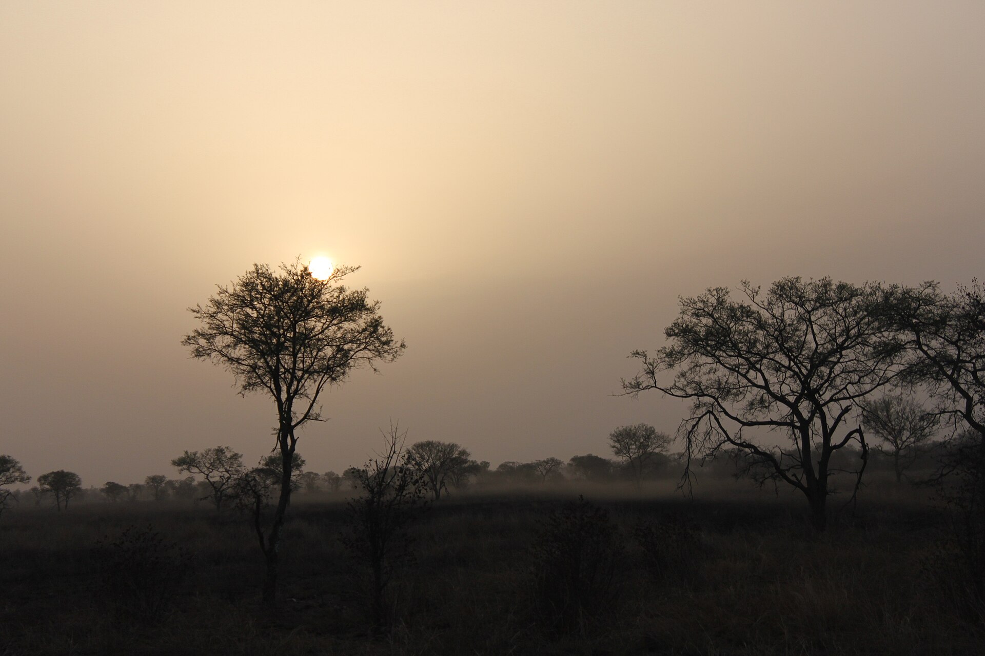 Coucher de soleil Pendjari